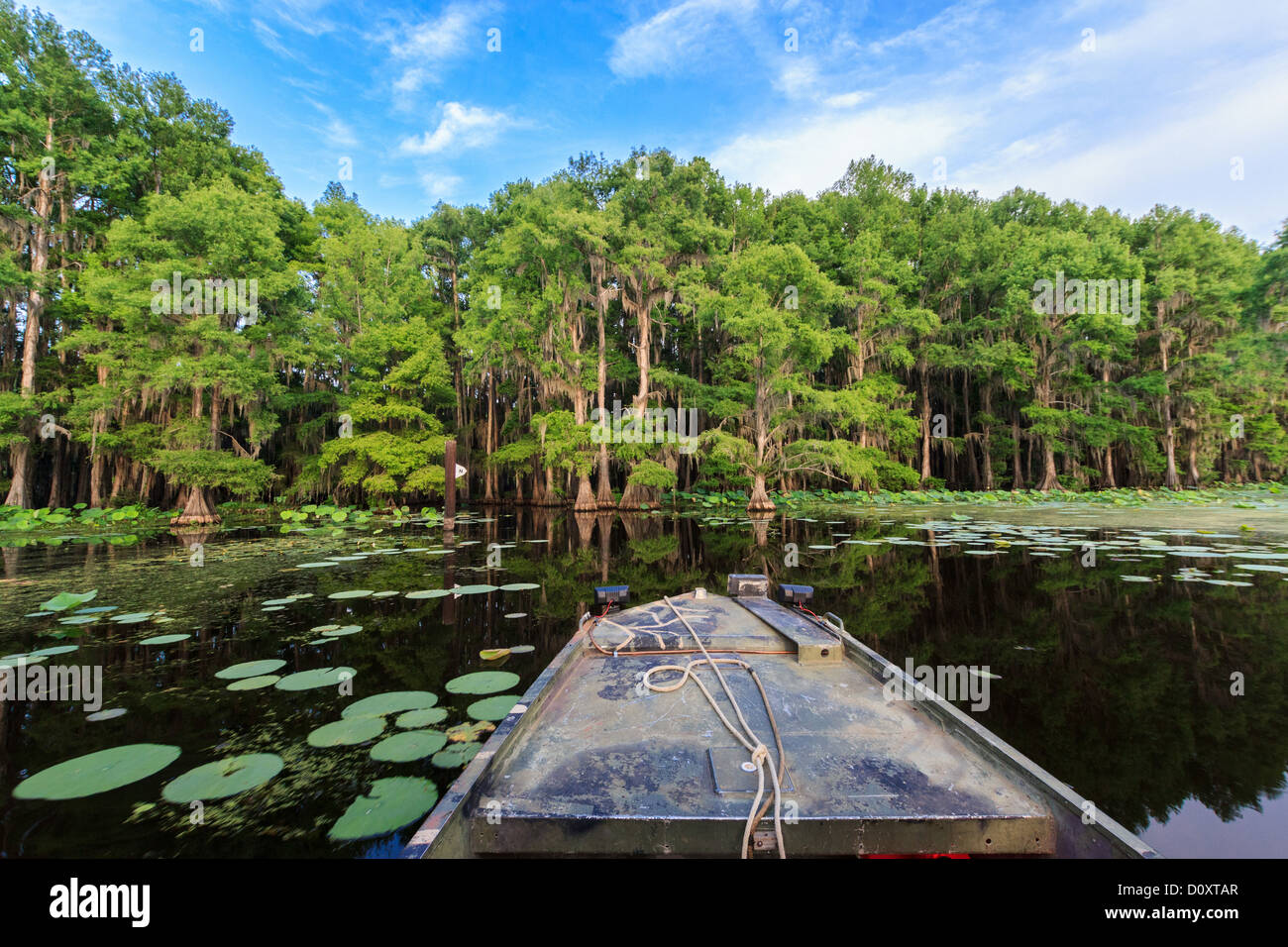 Caddo Lake, Texas, Stati Uniti d'America Foto Stock
