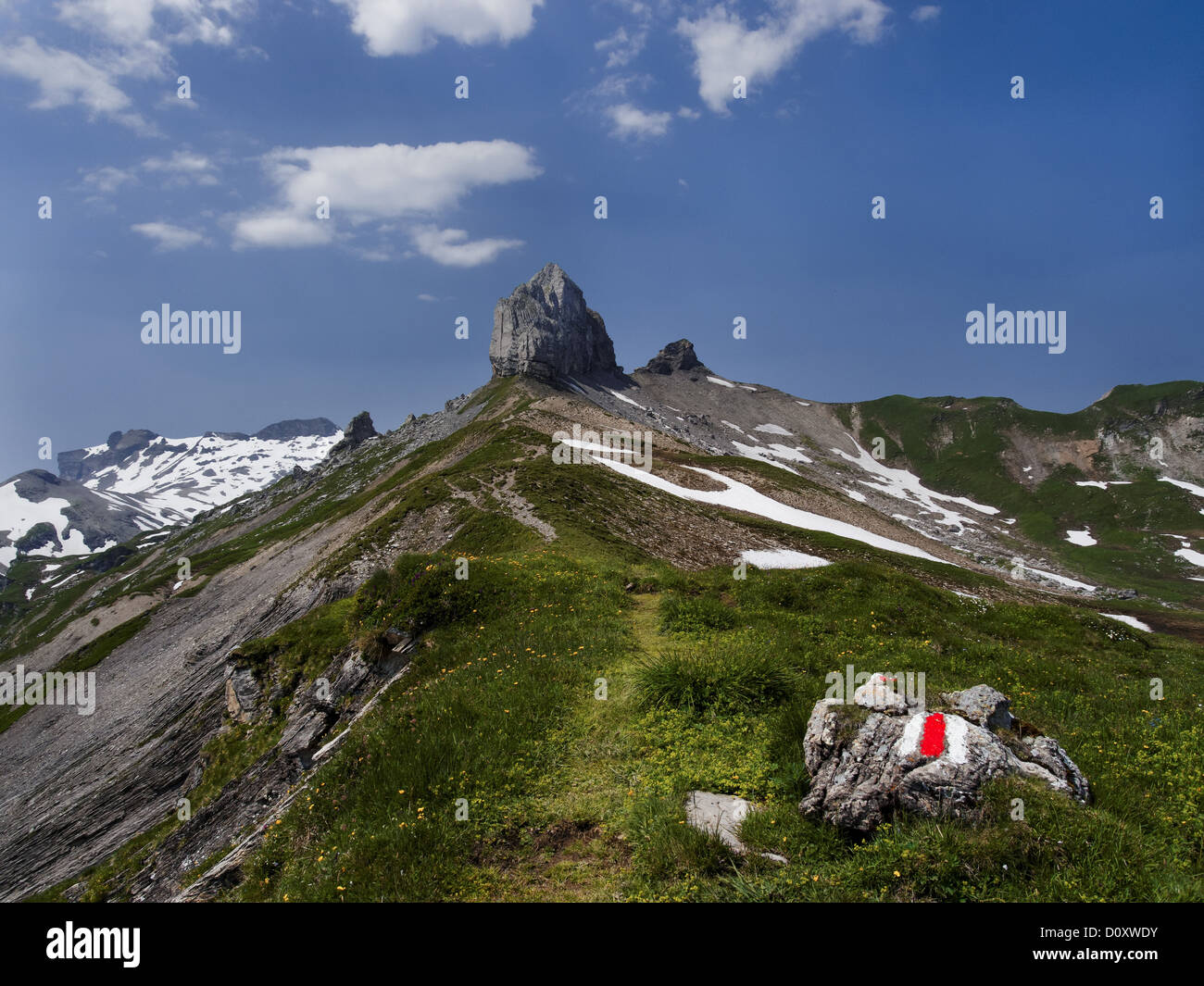 Alpi, montagne, cime di montagna paesaggio di montagna, sentiero di montagna, Alpi Bernesi, Oberland bernese, blu, montagne, summit, p Foto Stock