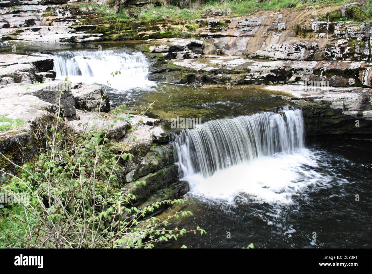 Cascate sul fiume Ribble Stainforth vicino Foto Stock