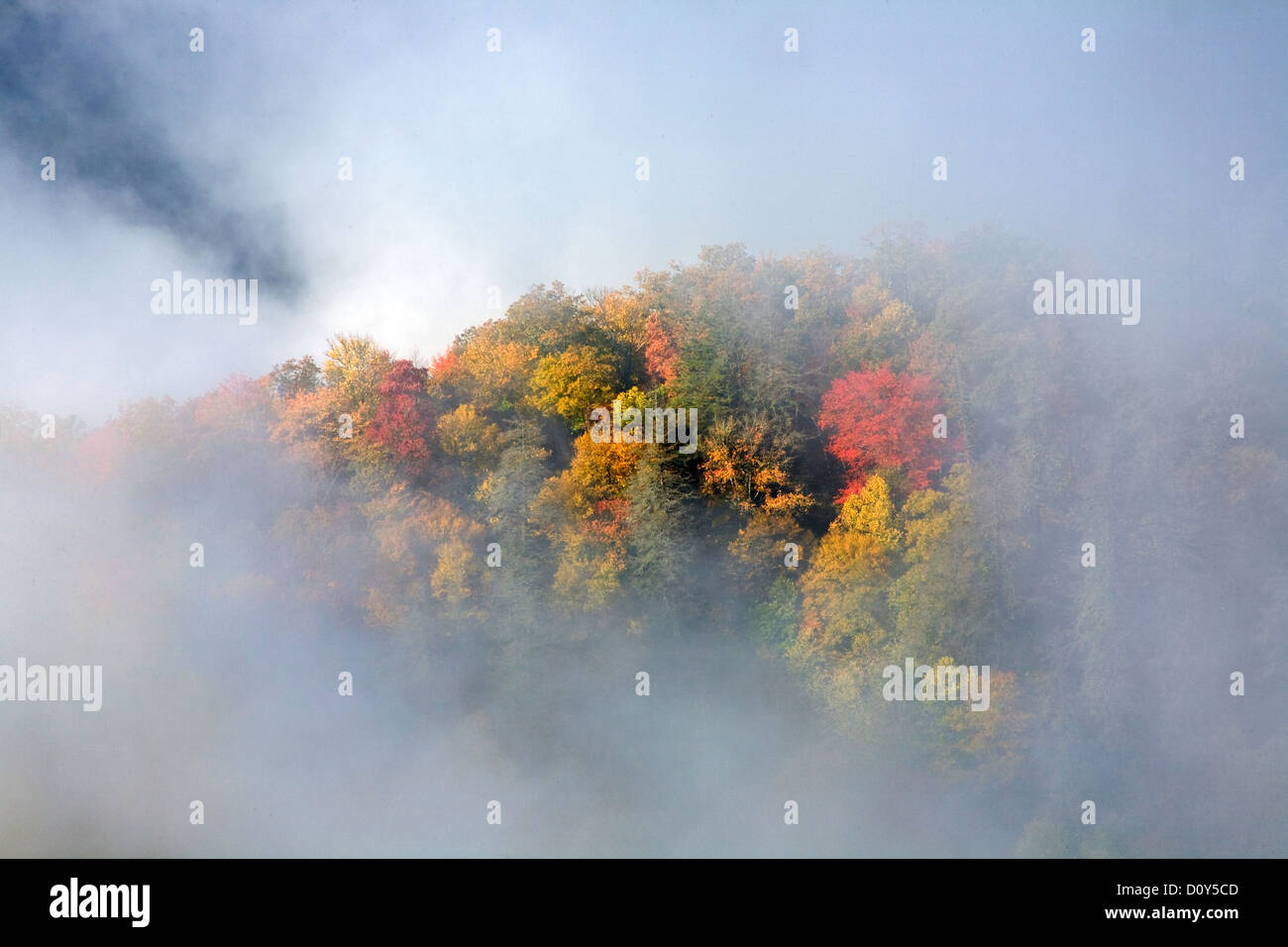 NC - Autunno a colori e salendo la nebbia visto da Webb si affacciano lungo la ritrovata Gap Road nel Parco Nazionale di Great Smoky Mountains. Foto Stock