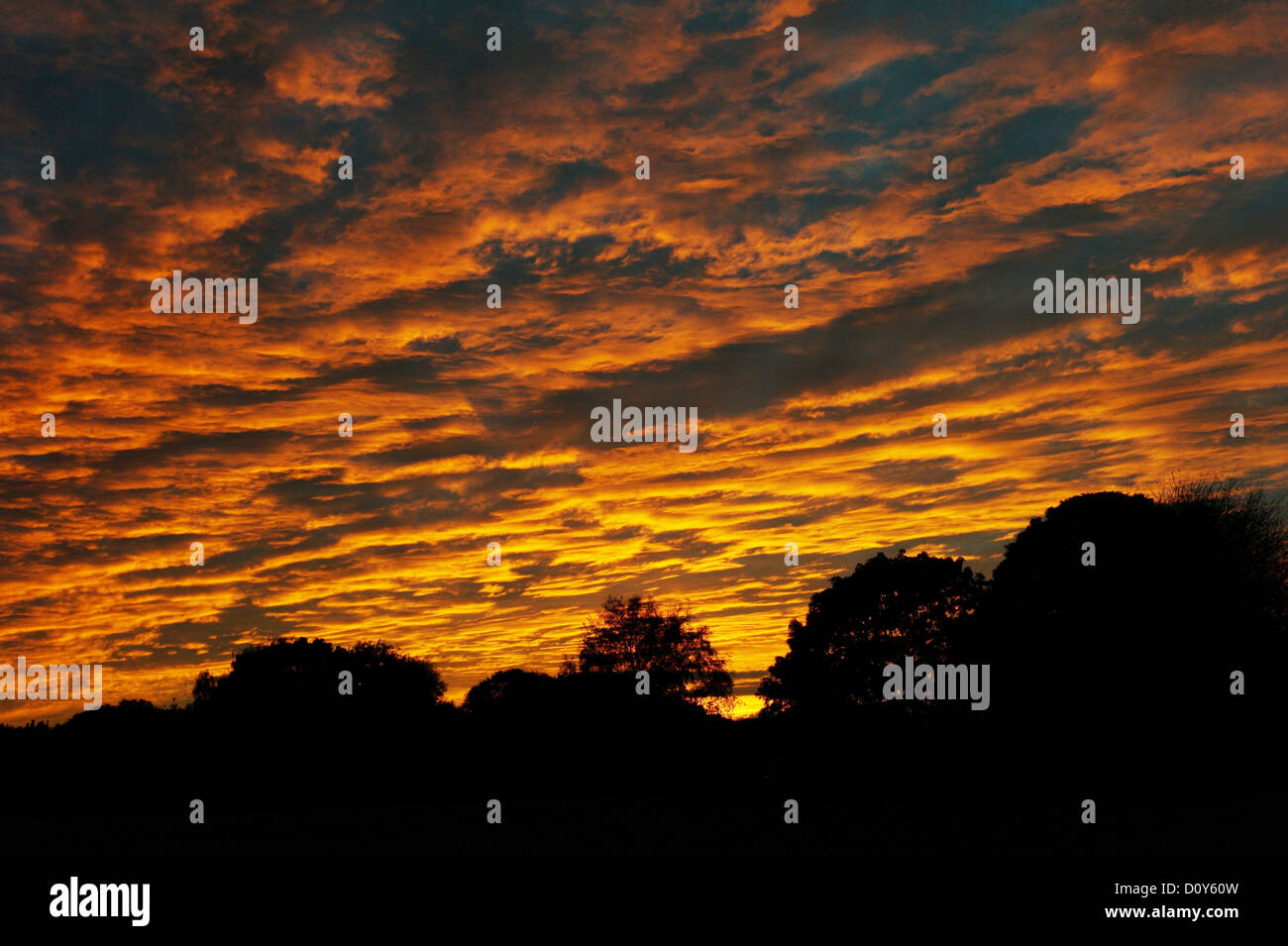 Rosso tramonto cieli di cheshire england Foto Stock
