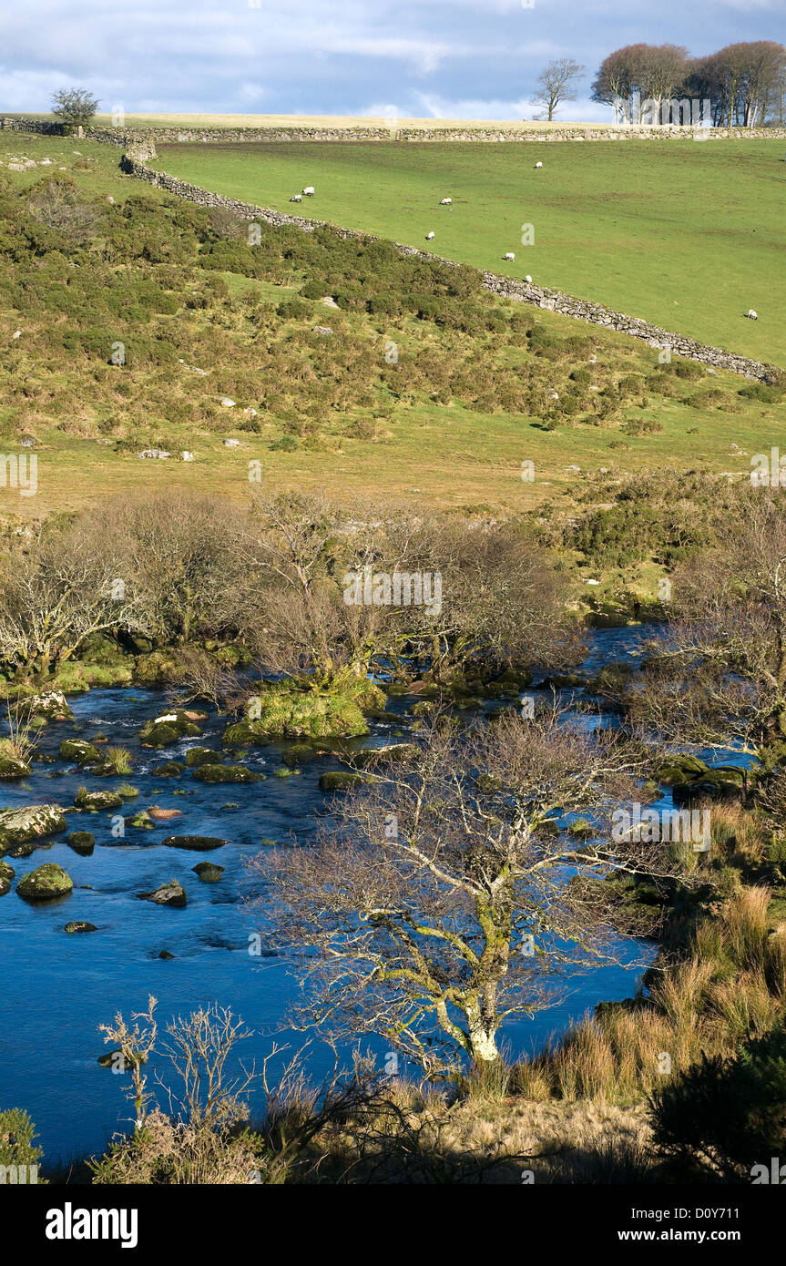 Dartmoor,West Dart River,Granito,paese, campagna, giorno, direzione, direzionale, Inghilterra, inglese, escursionismo, paesaggio Foto Stock