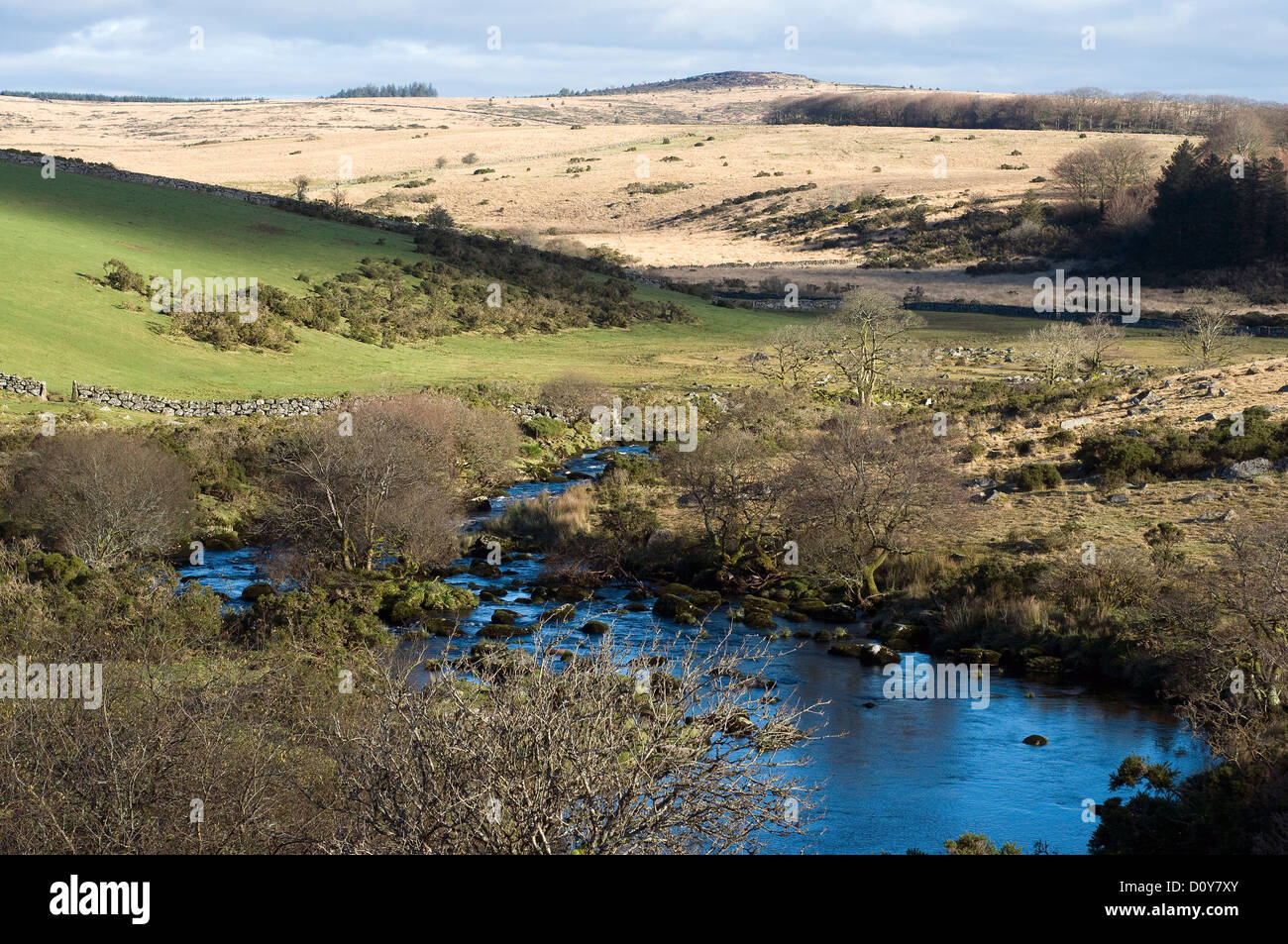 Dartmoor,West Dart River,Granito,paese, campagna, giorno, direzione, direzionale, Inghilterra, inglese, esterna, campo sentiero, Foto Stock