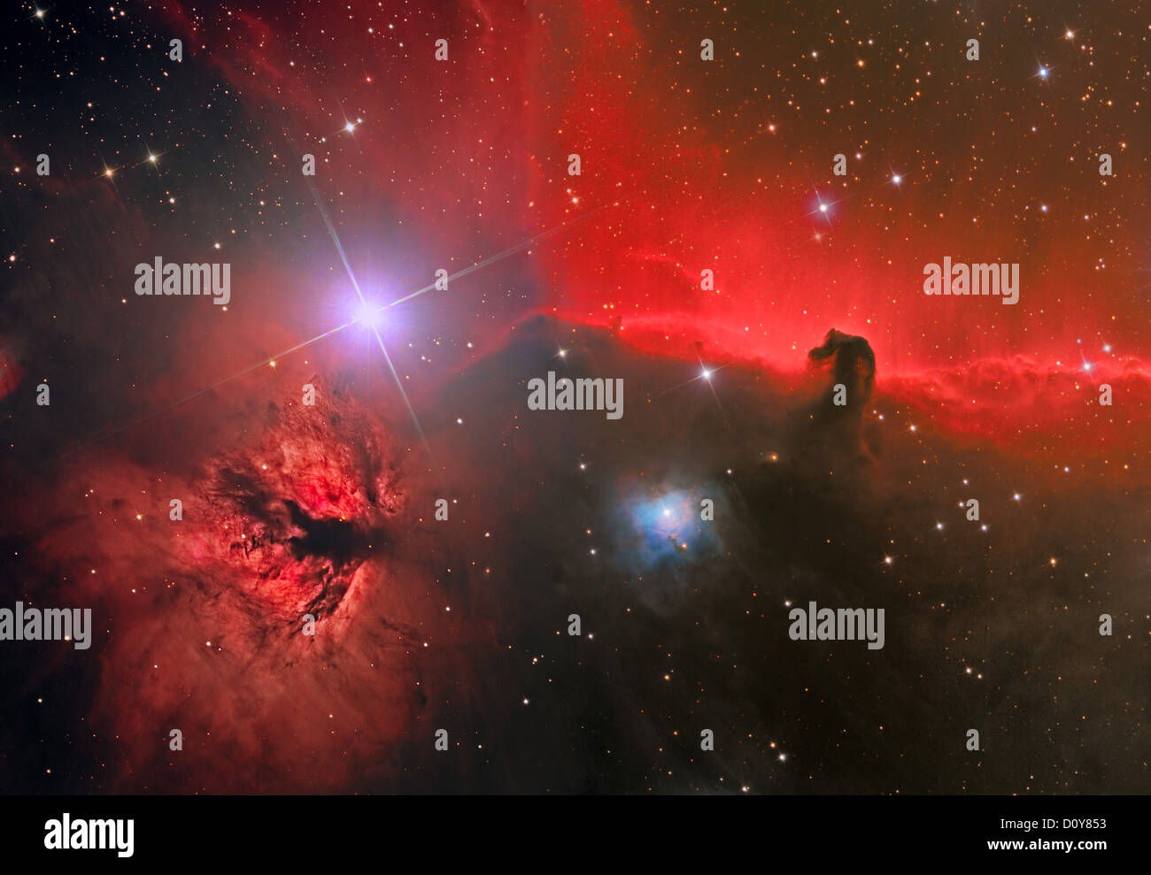 HorseHead e nebulosa Fiamma Foto Stock