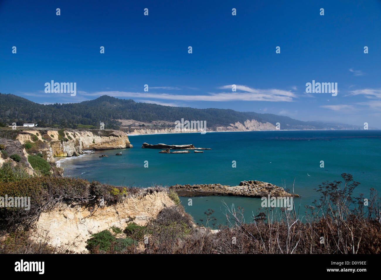 Ano Nuevo Bay, California Foto Stock