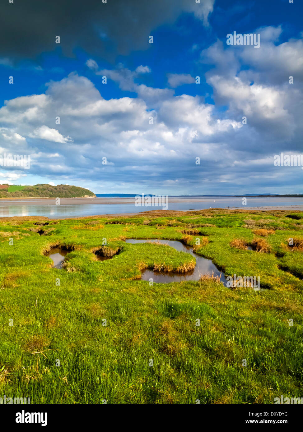 Velme di marea del fiume Taf estuary in Laugharne Carmarthenshire South Wales UK un villaggio dove lo scrittore Dylan Thomas ha vissuto Foto Stock