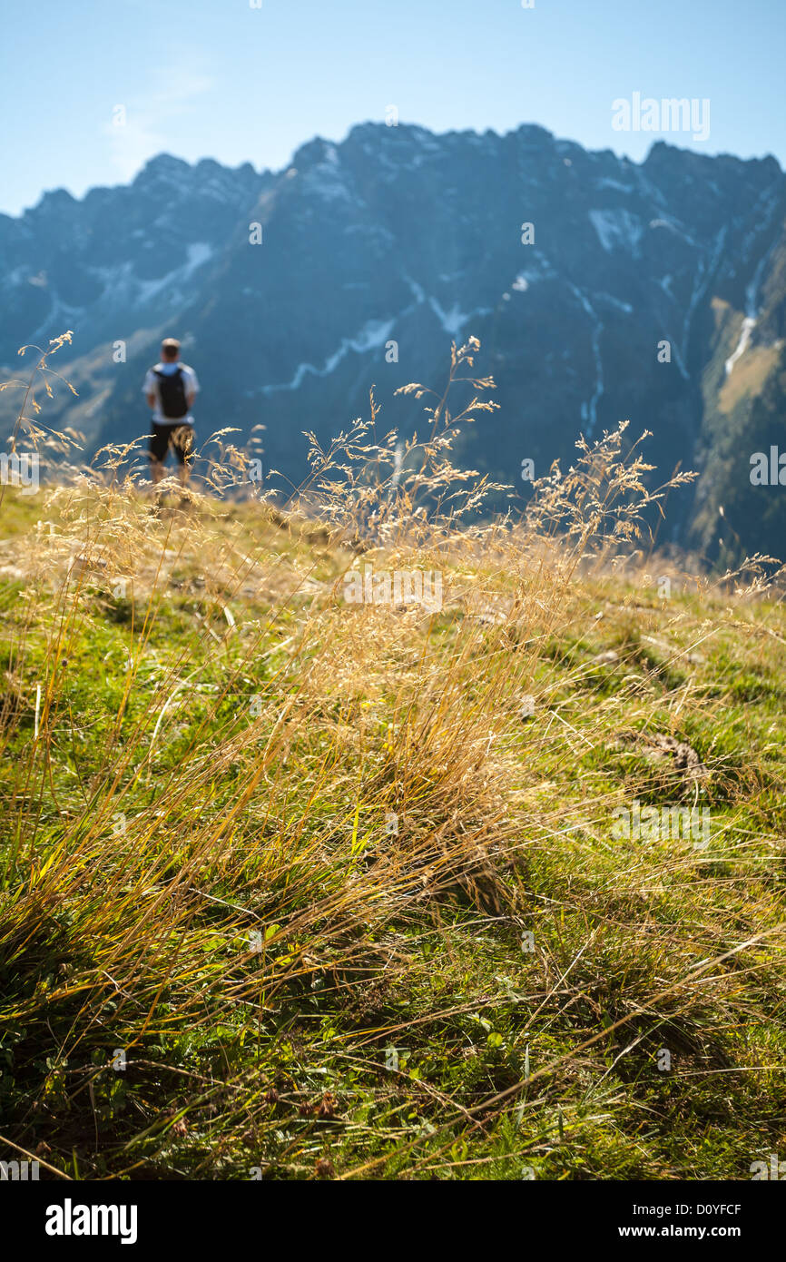 Guardando attraverso la lunga estate secca di erba a cima Ahorn a Mayrhofen, giovane viandante guarda spettacolari cime delle Alpi austriache. Foto Stock