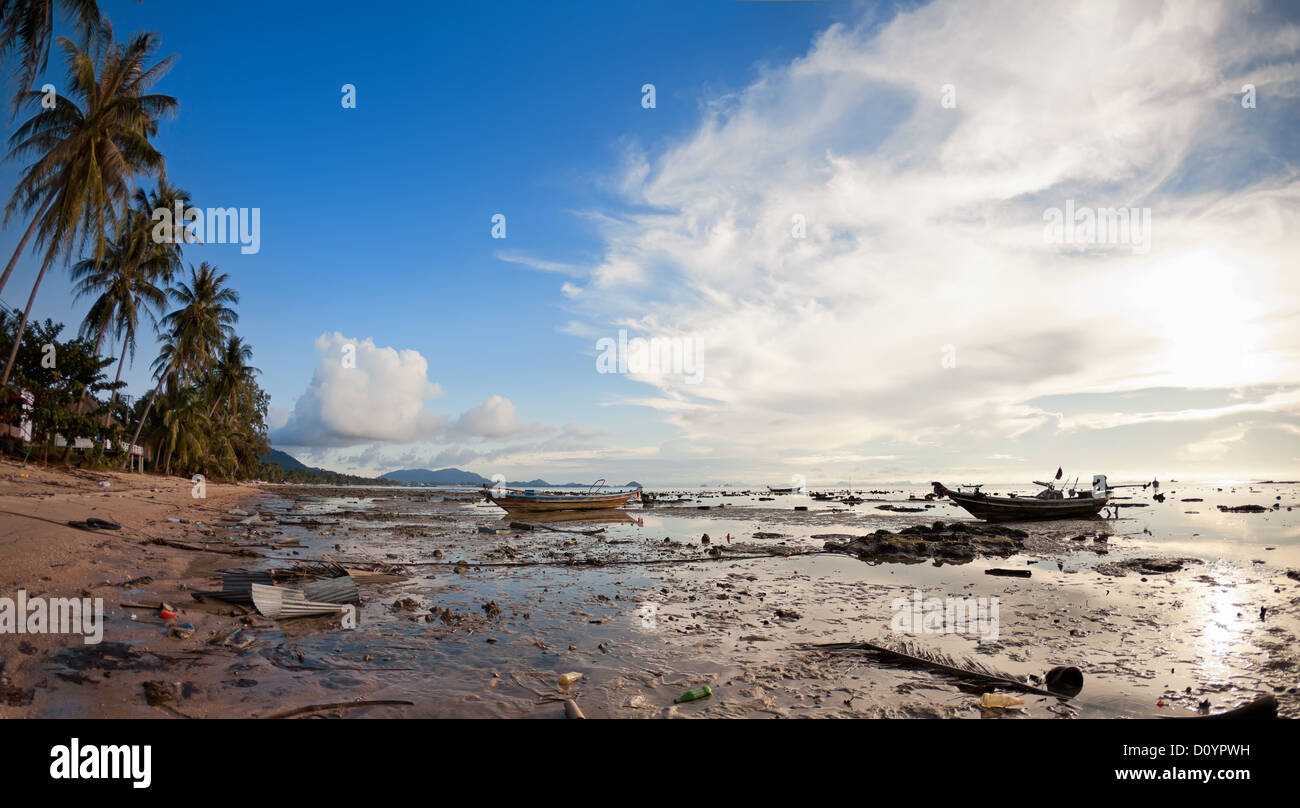 Legate le barche in acqua bassa Foto Stock