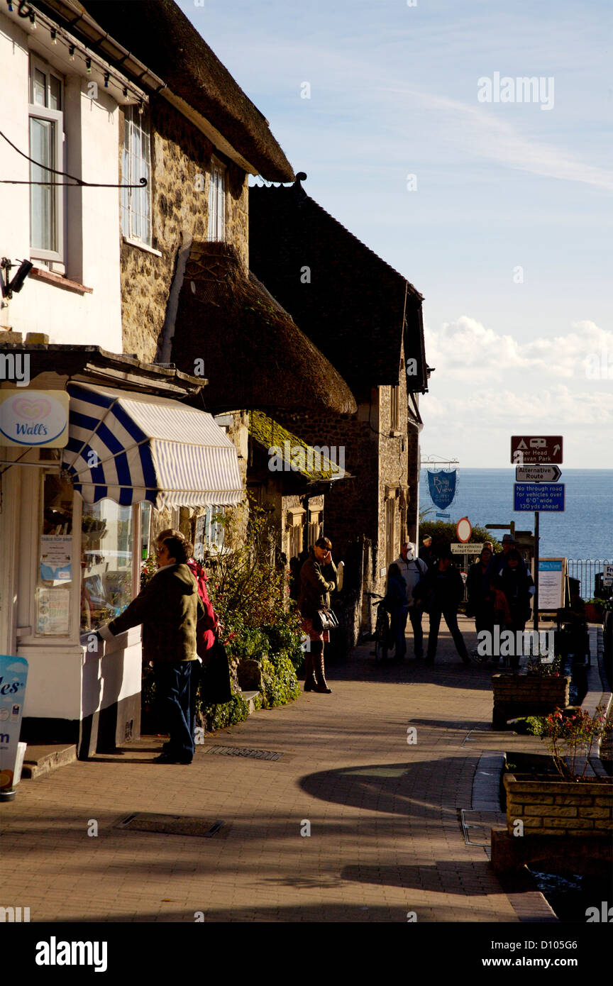 Il villaggio di birra, negozi e sale da tè, Devon, Inghilterra Foto Stock