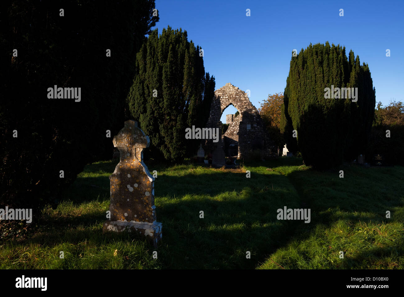 Attraverso la Yew alberi, è la porta orientale nelle rovine del XIII secolo Newtown cattedrale, rivestimento, nella contea di Meath, Irlanda Foto Stock