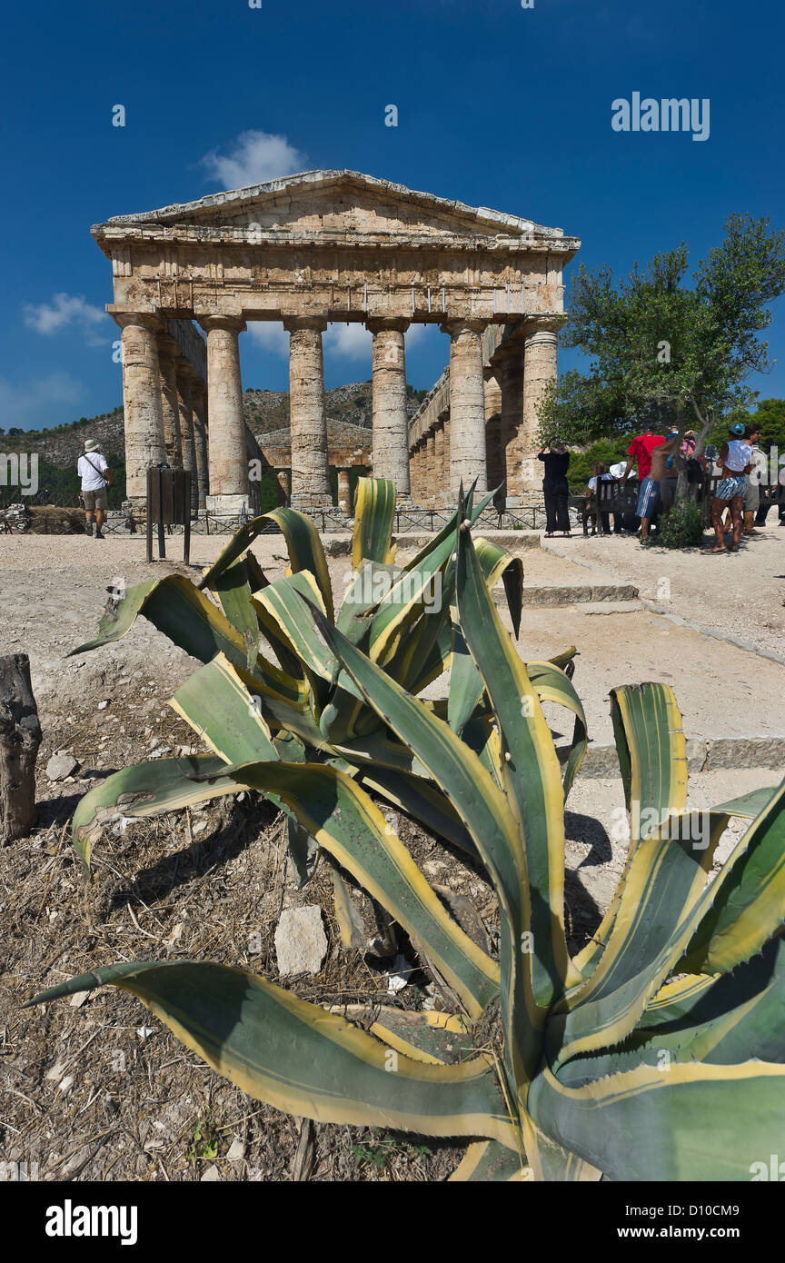Il tempio dorico di Segesta, Sicilia, Italia Foto Stock