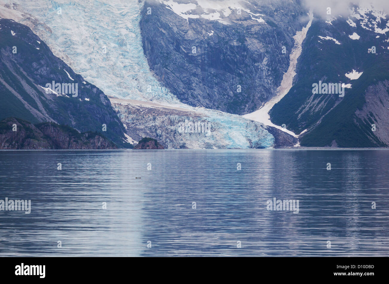 Vista panoramica del Glacier Bay in Alaska Foto Stock