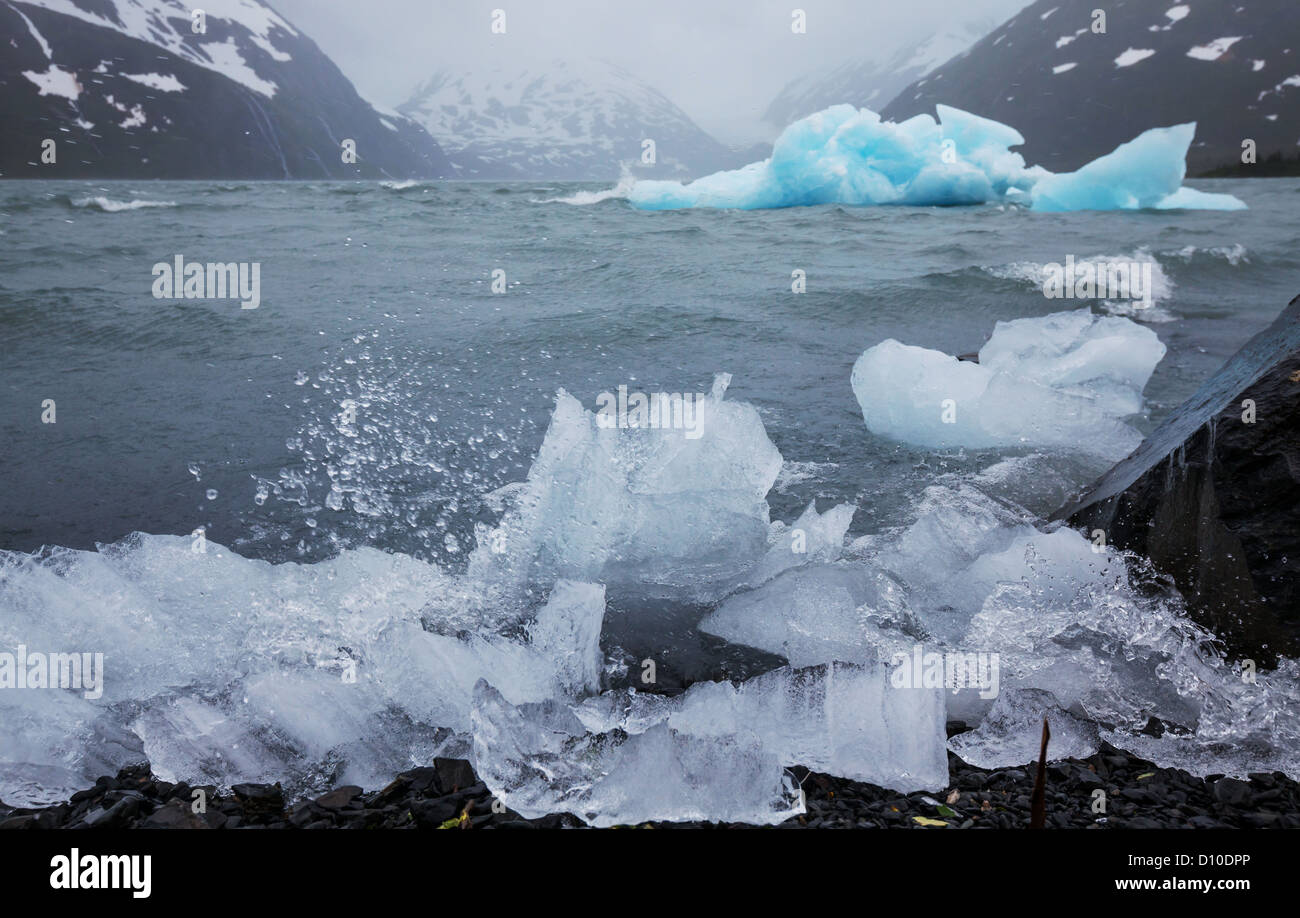 Vista panoramica del Glacier Bay in Alaska Foto Stock