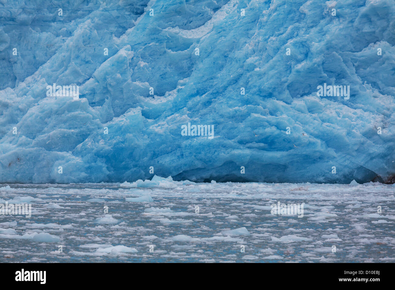 Vista panoramica del Glacier Bay in Alaska Foto Stock