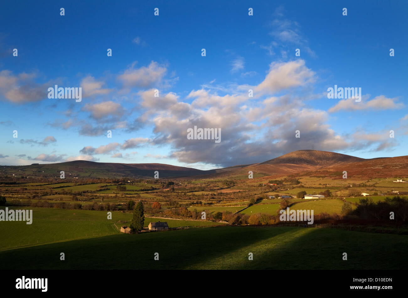 Monte Leinster, 796 metri è la più alta delle montagne Blackstairs, sul confine della contea di Wexford (e Carlow, Irlanda Foto Stock