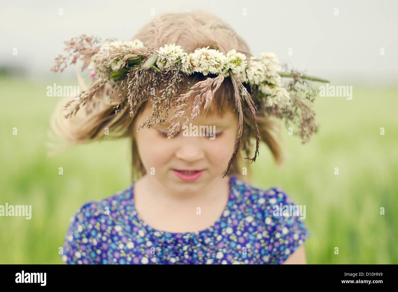 Una ragazza che indossa vestito blu con una ghirlanda attorno alla sua testa sul campo di grano Foto Stock