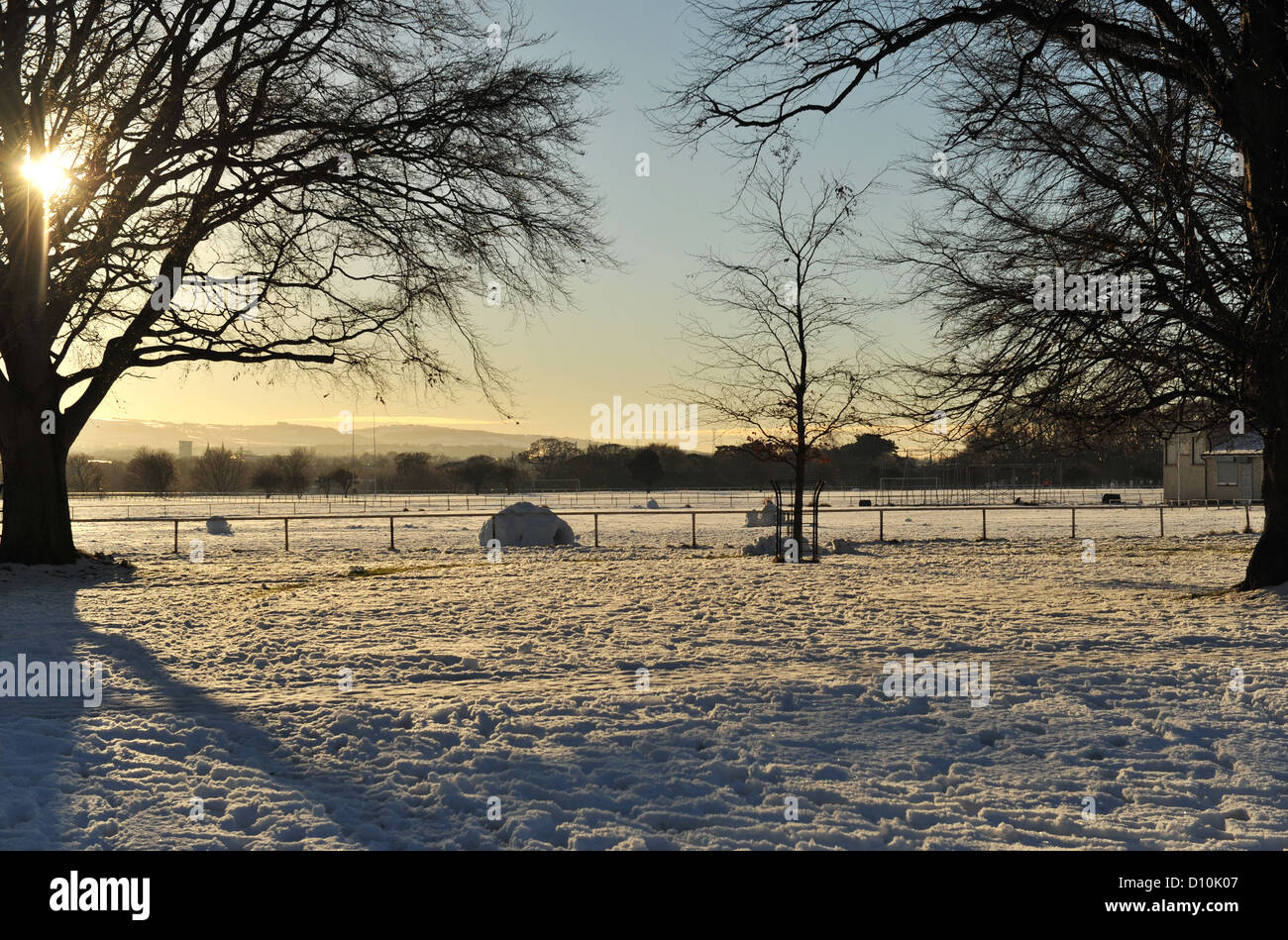 Giornata invernale nel Phoenix Park , Dublino Irlanda Foto Stock