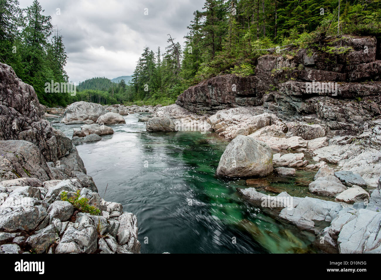 Piccolo fiume su Sutton Pass, Isola di Vancouver, Canada Foto Stock