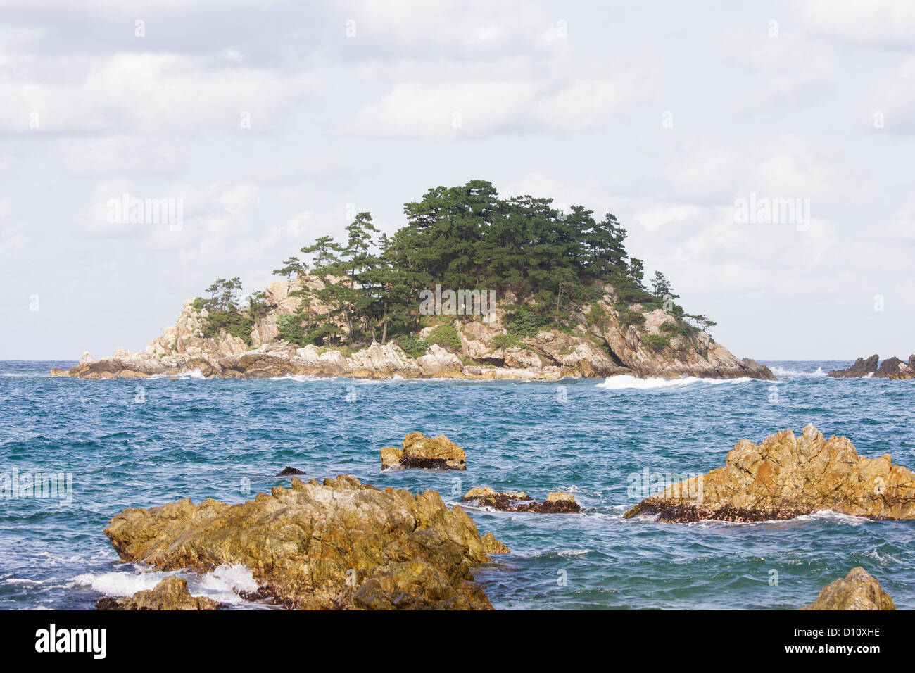 Walmido nel mare orientale della Corea del Sud, Galnam Village Foto Stock