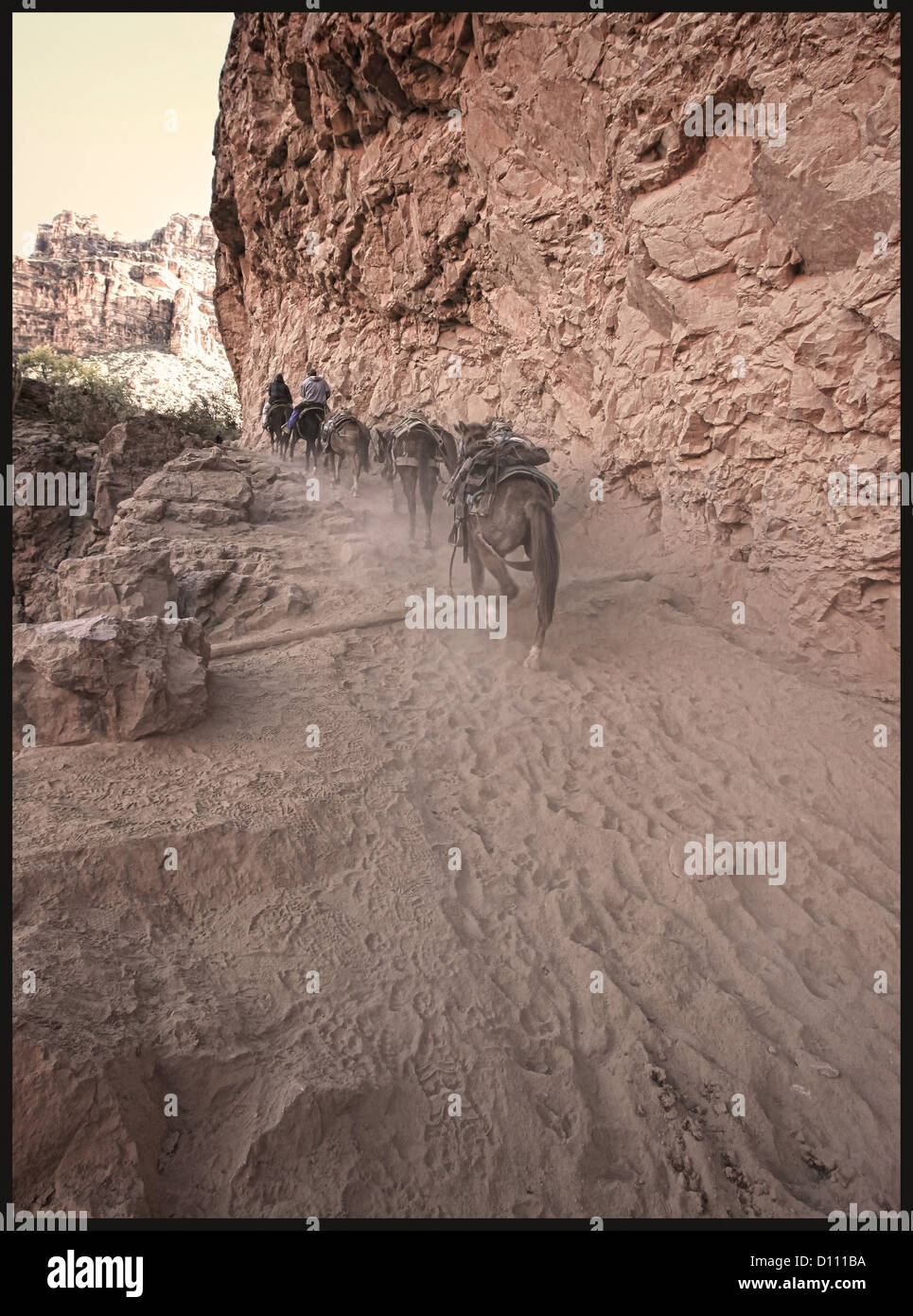 Mulo treno Havasu cade Foto Stock