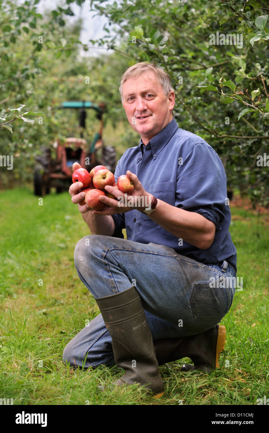 Il sidro di mele rendendo agricoltore Mike Johnson a Broome Agriturismo vicino a Ross-on-Wye Regno Unito dove si trova il campeggio libero e degustazione di volontariato apple p Foto Stock