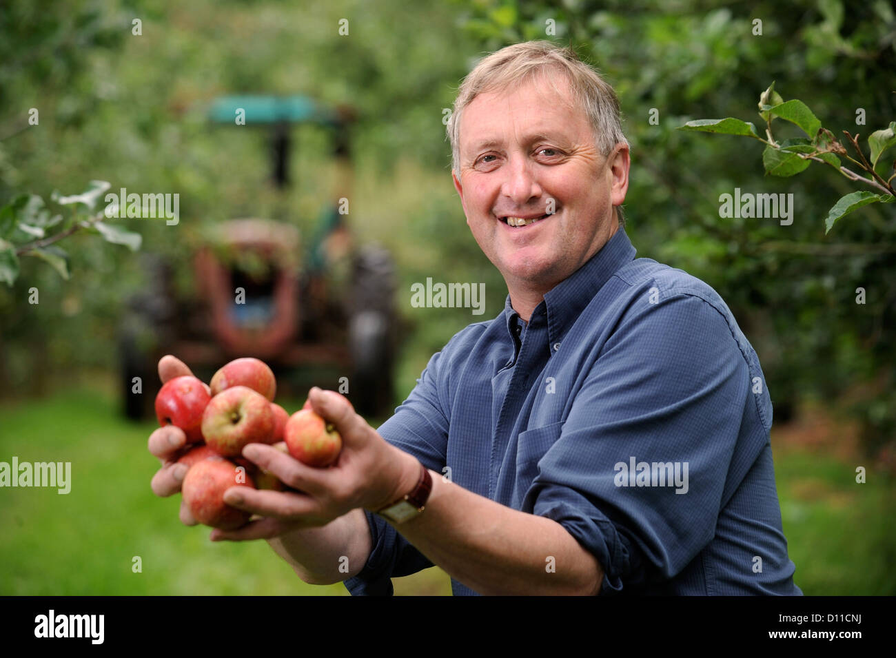 Il sidro di mele rendendo agricoltore Mike Johnson a Broome Agriturismo vicino a Ross-on-Wye Regno Unito dove si trova il campeggio libero e degustazione di volontariato apple p Foto Stock