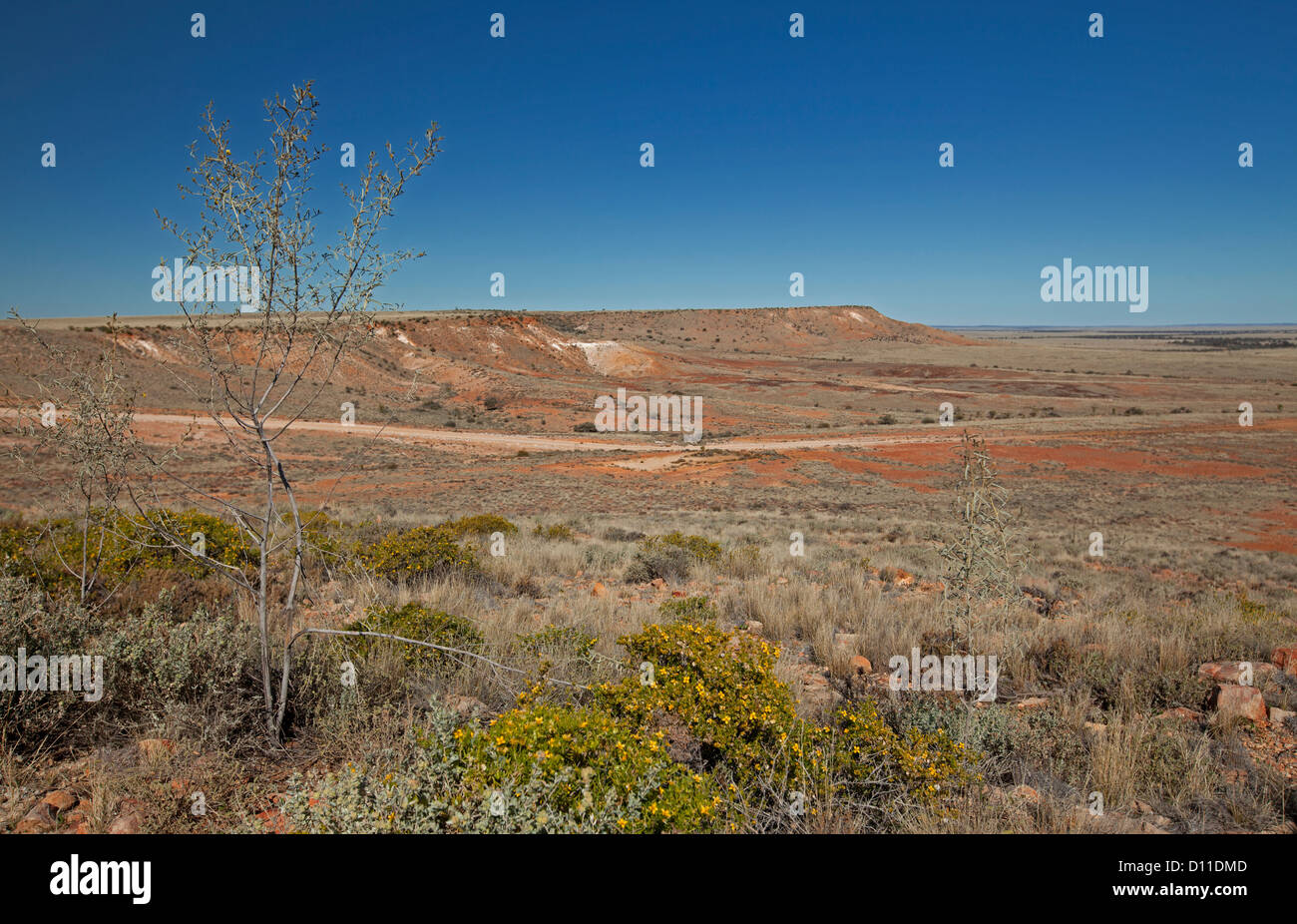 Australian Outback road a distanza attraverso vasto deserto arido paesaggio con mesas a Sturt National Park, Nord NSW, Australia Foto Stock