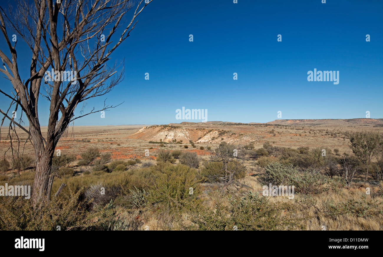 Vasto arido entroterra australiano di paesaggio con mesas passando da pianure sotto il cielo blu in Sturt National Park, outback NSW Foto Stock