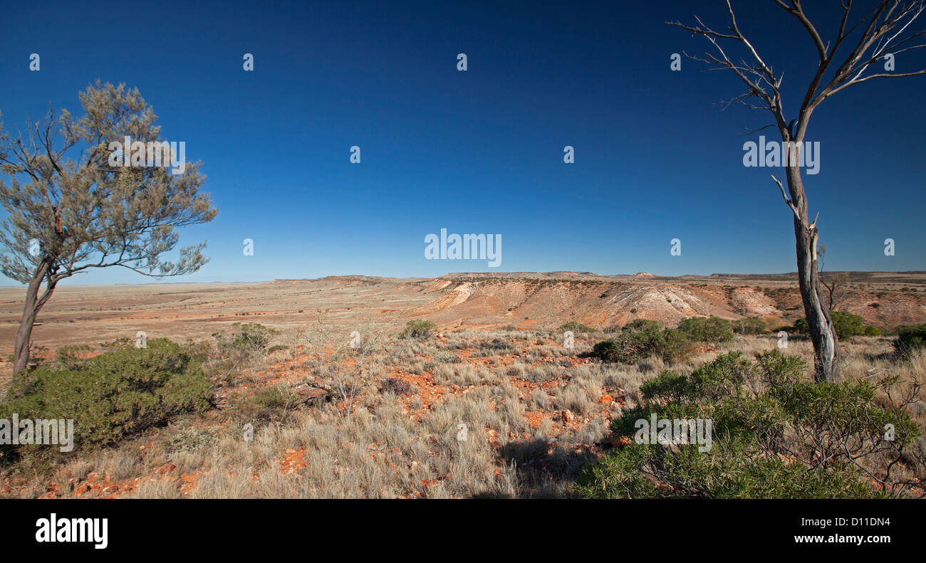 Outback australiano paesaggio con jump up / mesas passando da vaste pianure del deserto in Sturt National Park, NSW Australia Foto Stock