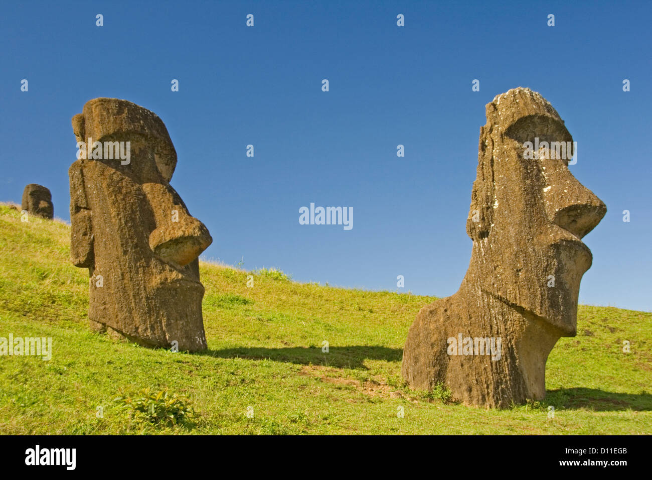 Isola di Pasqua le statue - moai - sui pendii erbosi di Ranu Raraku, la cava dove essi sono stati scolpiti. Foto Stock