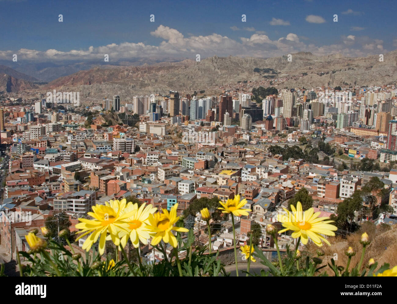 Vista della città boliviana di La Paz con grattacieli in una profonda valle circondata da montagne delle Ande e fiori in primo piano Foto Stock