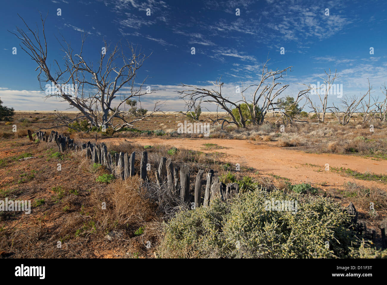 Paesaggio, antica recinzione e vegetazione nativa su aride pianure allungamento lontano orizzonte a Sturt National Park, outback Australia Foto Stock