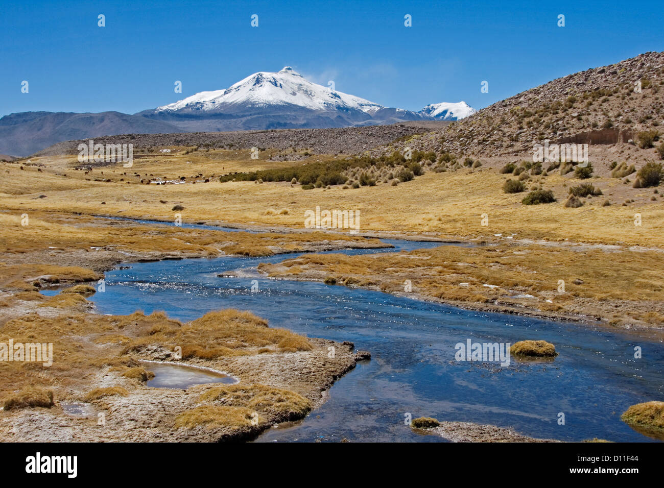 Ande montagne paesaggio con fumo di Snow capped vertice del vulcano attivo Guallatire e blu acqua di fiume in Cile Foto Stock