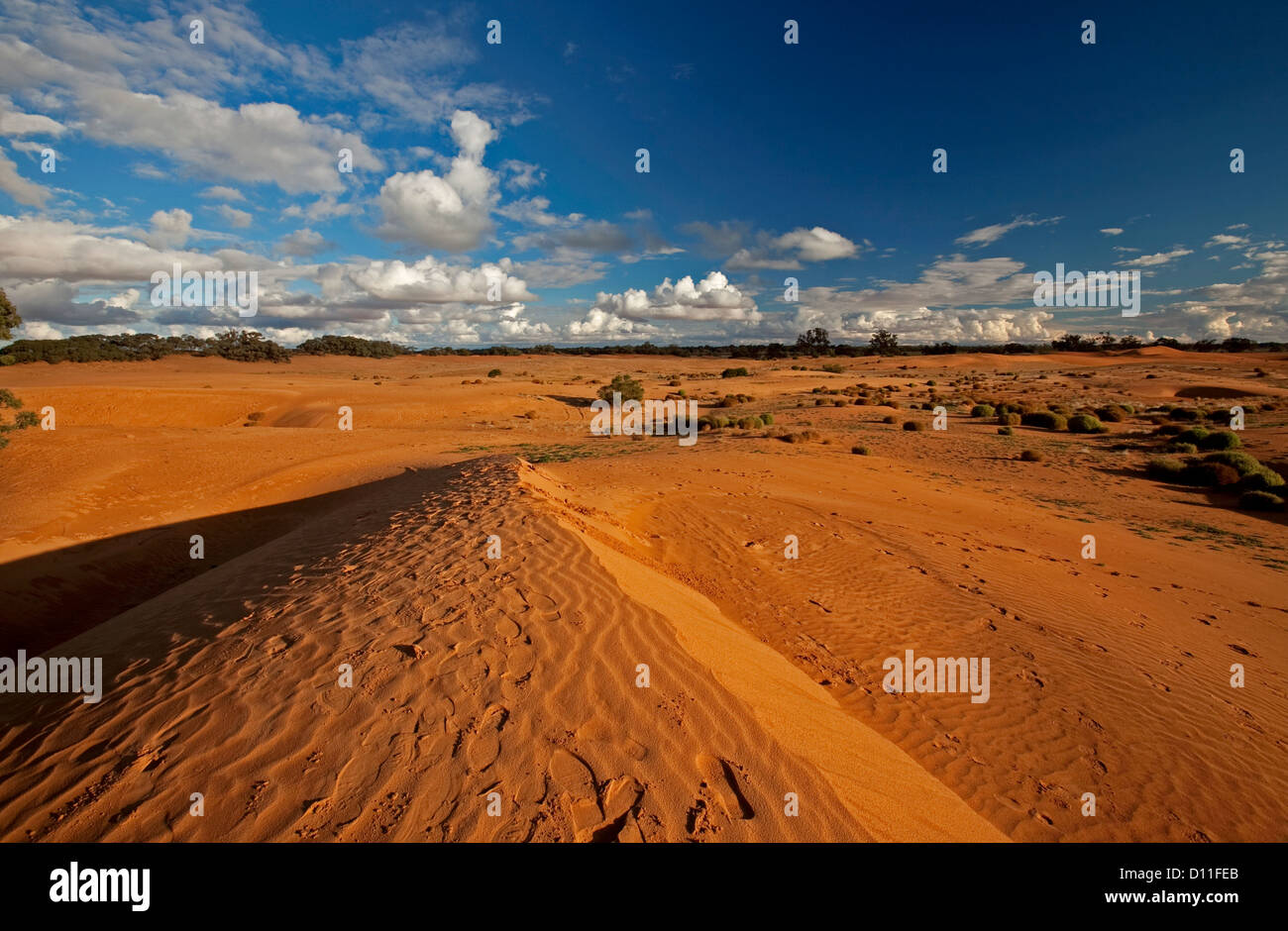 Perry sandhills, vasto arido paesaggio di dune rosse sotto un cielo blu di Wentworth, outback NSW ,l'Australia Foto Stock