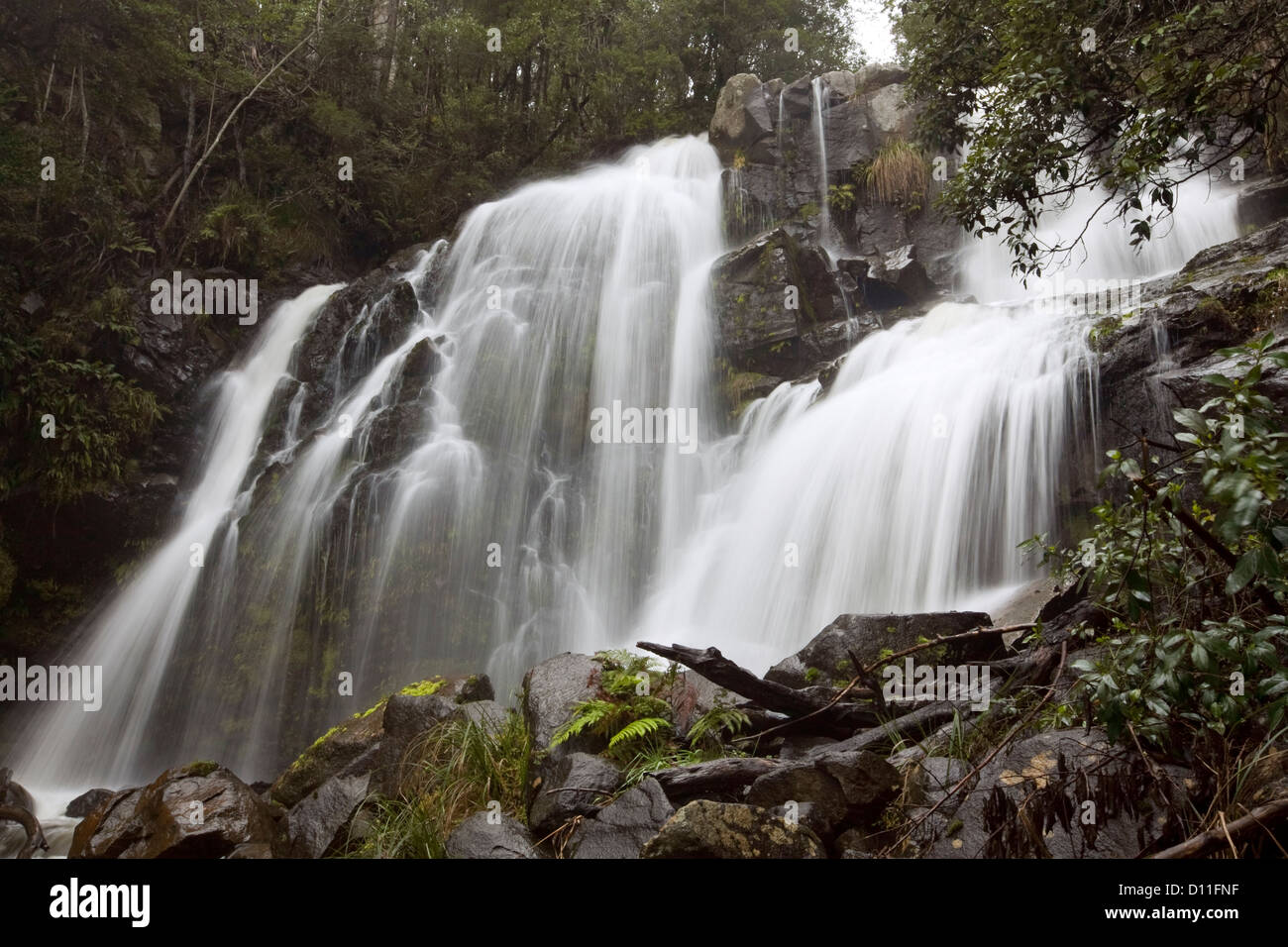 Snob's Creek Falls, cascata a Eildon, Victoria Australia Foto Stock