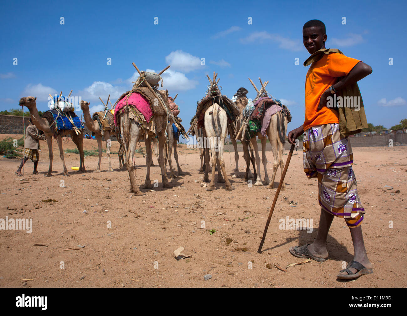 Caravan di cammelli attraversando il fiume Dechatu, Dire Dawa, Etiopia Foto Stock