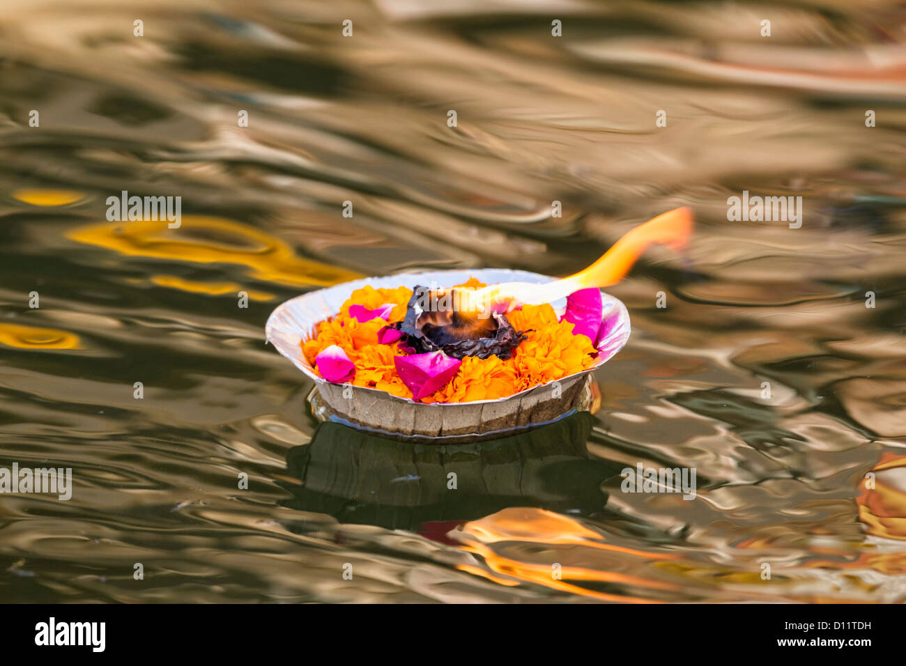 India, Uttar Pradesh,foglie Vaso con fiori e olio lampada galleggiante sul Fiume Gange Foto Stock