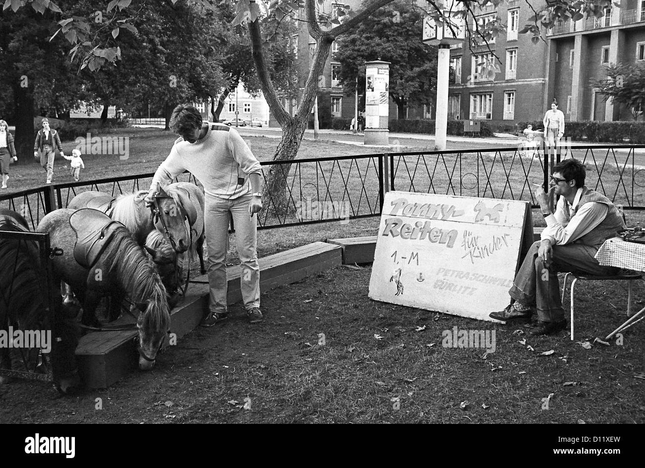 Berlino, gdr, pony a Friedrichshain Weberwiese Foto Stock