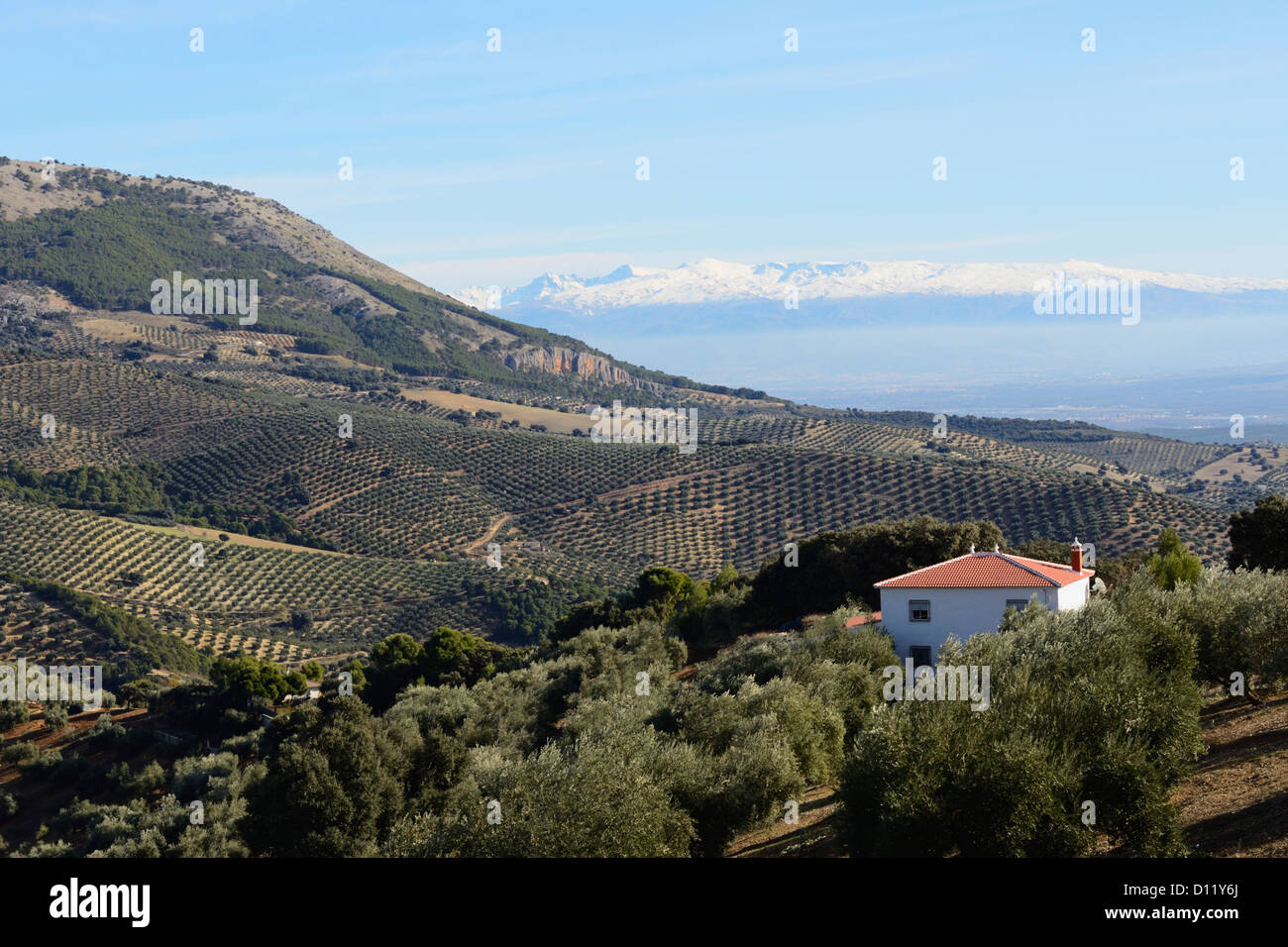 Vista dell'innevata catena montuosa della Sierra Nevada a sud di Montefrio; Granada Spagna Foto Stock