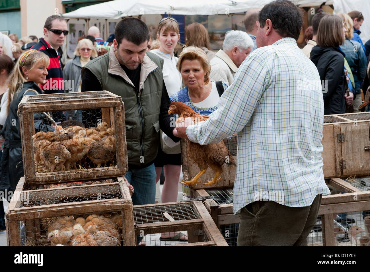 Sineu, Mallorca, Spagna, vendita di polli al mercato Foto Stock