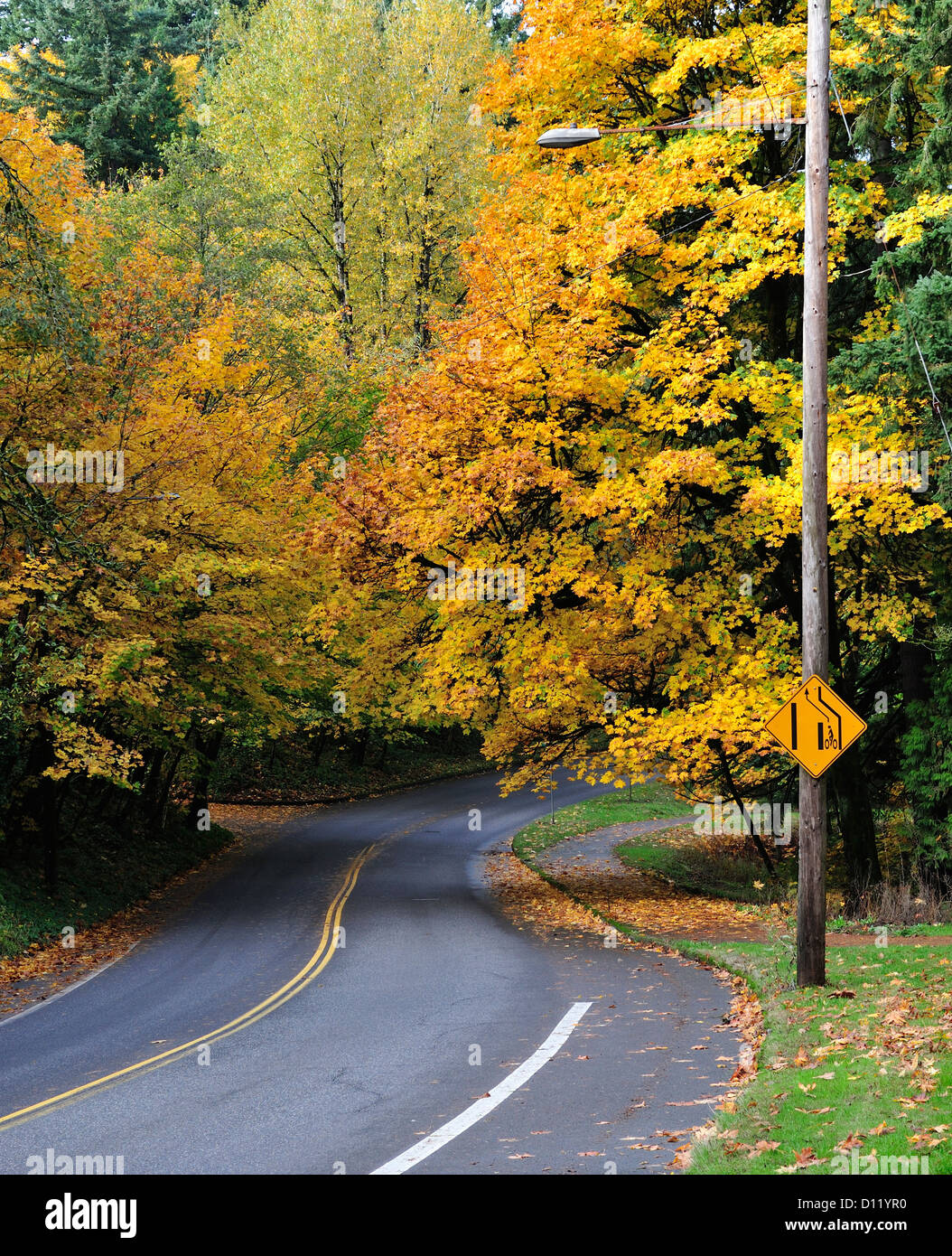 I colori dell'autunno su Terwilliger Boulevard, Portland, O 121102 30667 Foto Stock