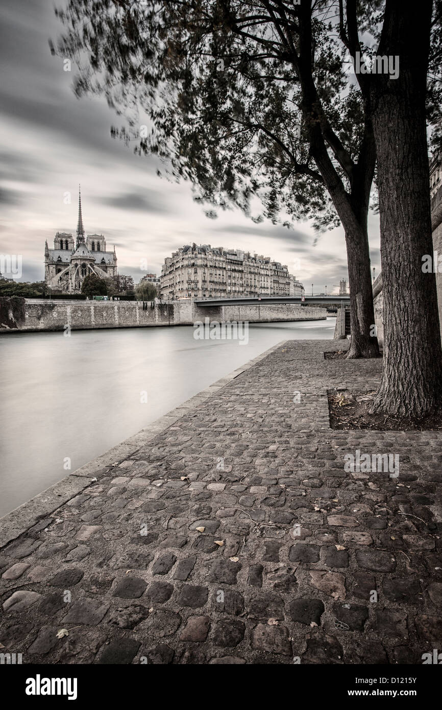 Passeggiata lungo la Senna e la Cattedrale di Notre Dame di Parigi e dell' Ile-de-France, Francia Foto Stock