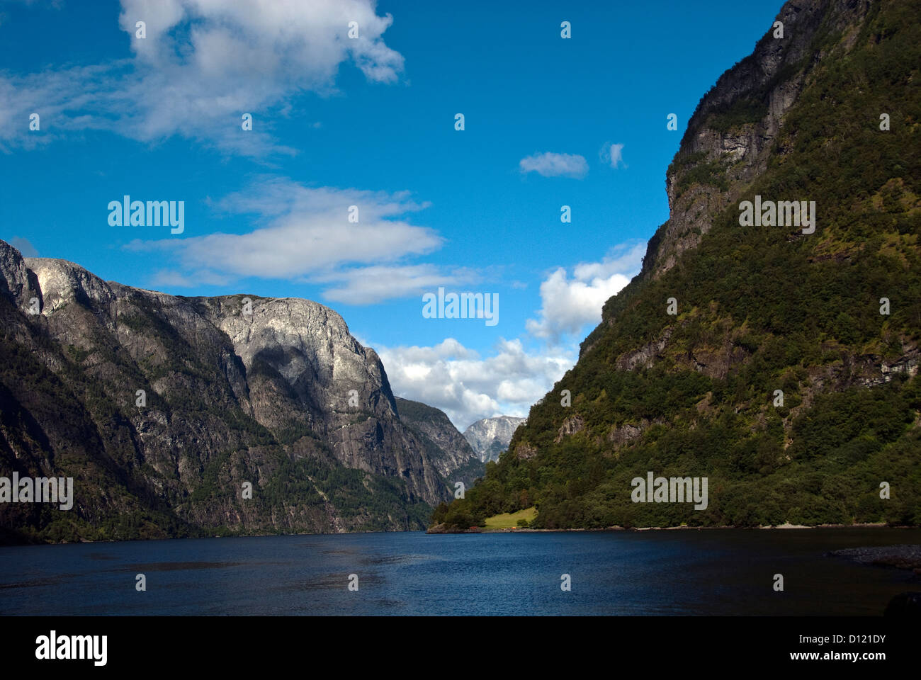 Naeroyfjorden crociera del fiordo Norvegia Europa Foto Stock