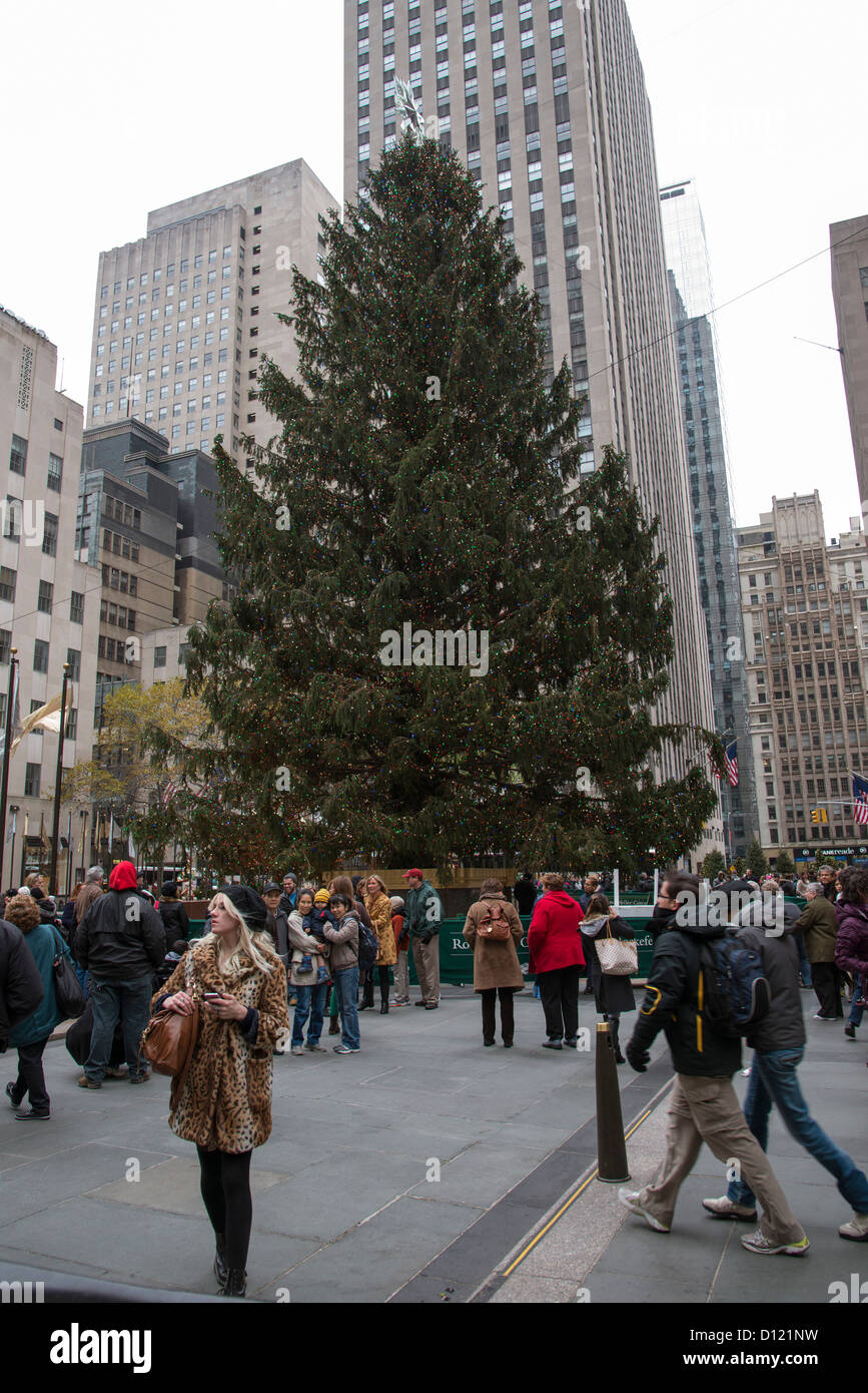 Albero di natale il Rockefeller Center di New York STATI UNITI D'AMERICA Foto Stock