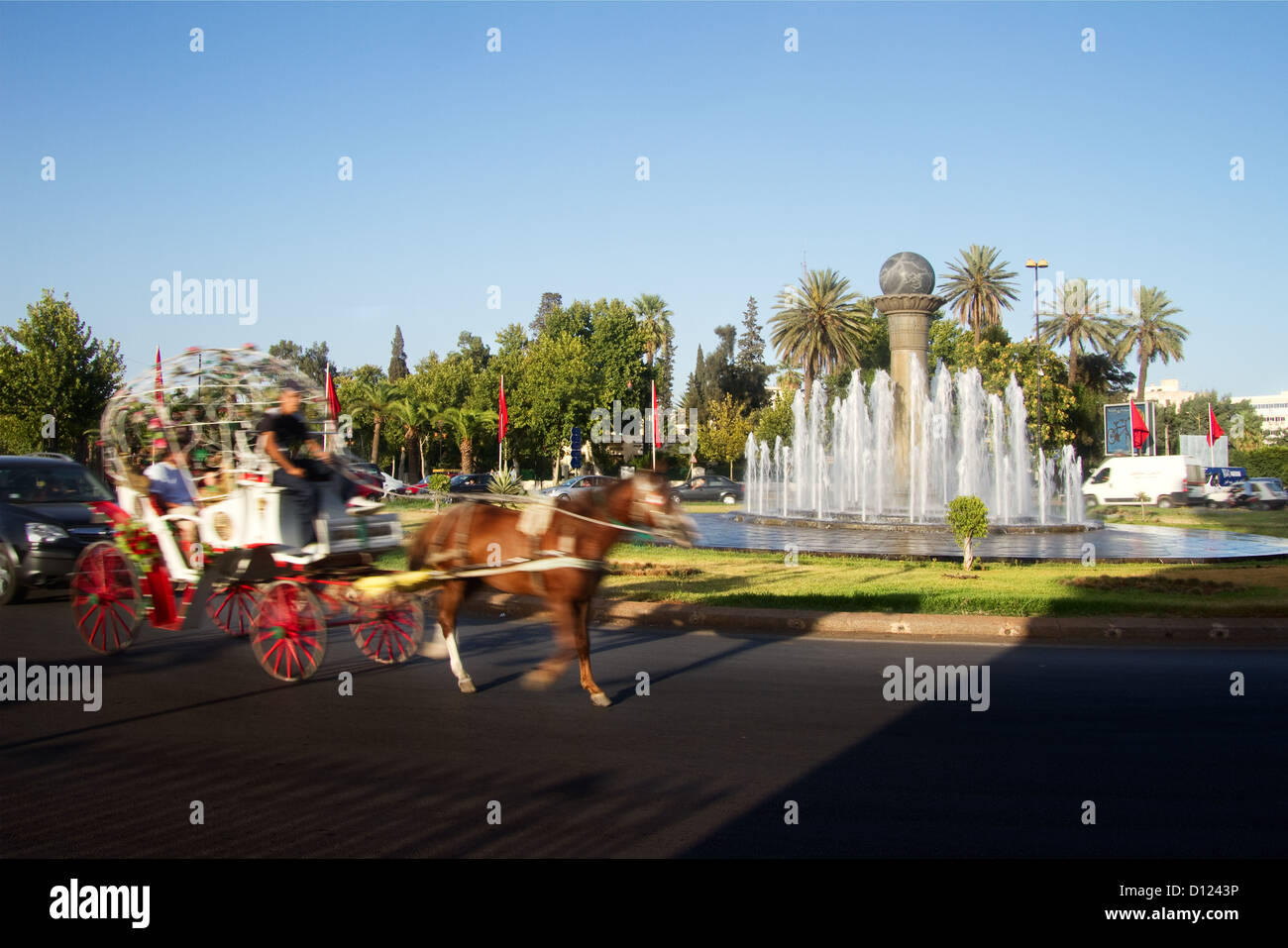 Il Marocco, Fes, Medina, Boulevard Hassan II, alberi, carrello, Cavallo Foto Stock