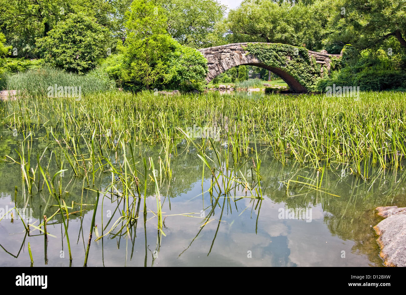Gapstow Bridge nel Central Park di New York. Il ponte è a Manhattan e fatto di pietra. Foto Stock