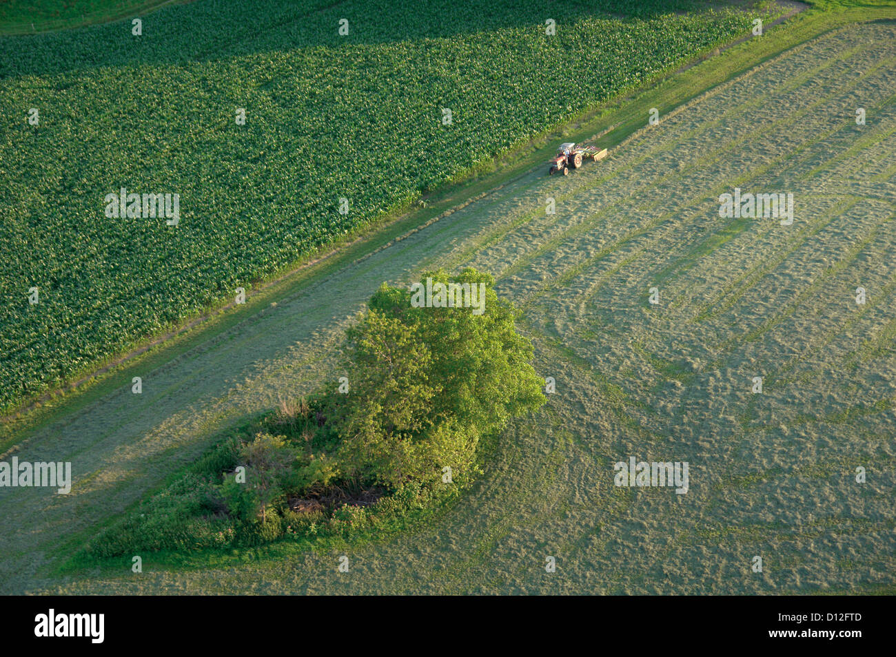 In Germania, in Baviera, vista del trattore con il campo e strada Foto Stock