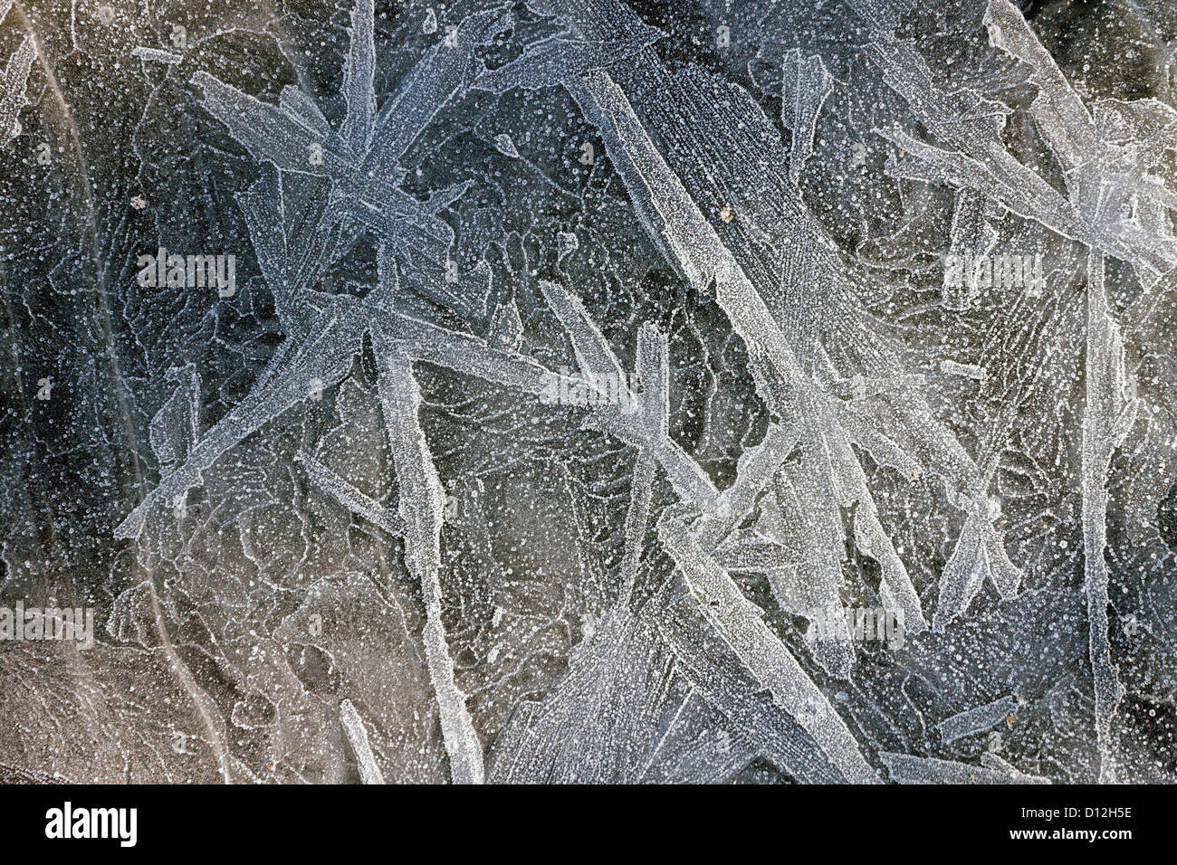 Trasformata per forte gradiente frost motivi sulla pozza congelato, Leicestershire, Regno Unito Foto Stock