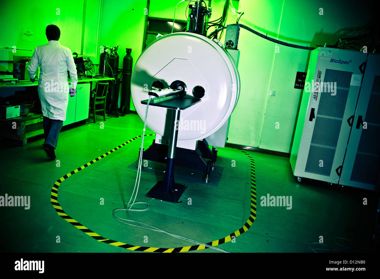 Il tecnico o scienziato in camera con piccolo foro di Risonanza Magnetica (RM) scanner, in cui i soggetti di piccole dimensioni vengono sottoposti a scansione. Foto Stock