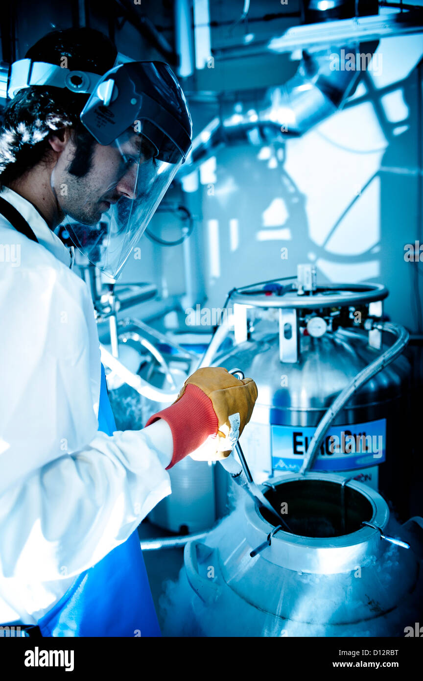 Scienziato trasferisce azoto liquido da un contenitore ad un altro nel laboratorio di scienze sala del negozio Foto Stock